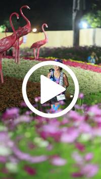 BIB:  <button type="button" onclick="openModal(27591092)" class="btn btn-primary btn-sm float-right" data-toggle="modal" data-target=".modal-high-quality">
                <i class="fa fa-download"></i> Download
                </button>